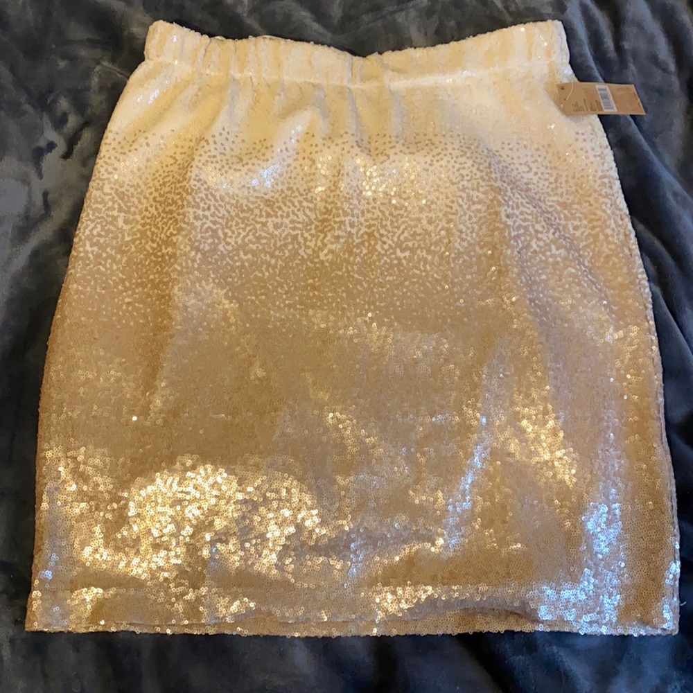 NWT Cremieux Ombré sequin skirt